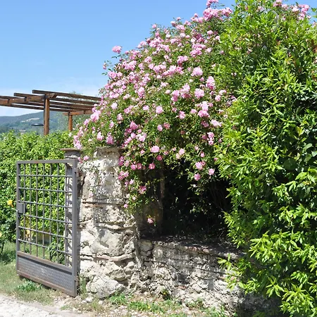 Il Gelso Nero Gospodarstwo agroturystyczne Castelnuovo di Farfa